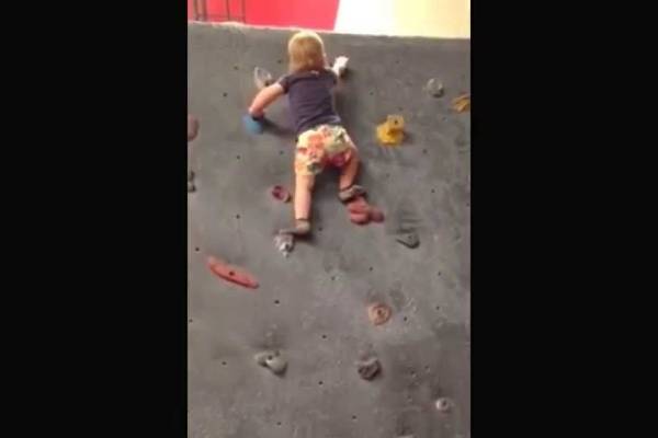Baby scales a rock wall
