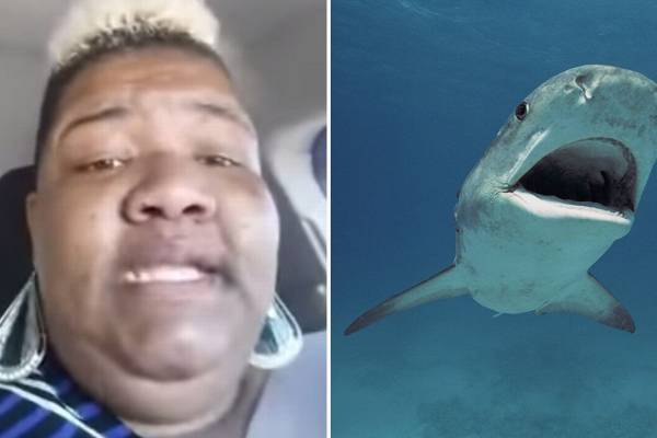 Her hilarious shark advice went viral